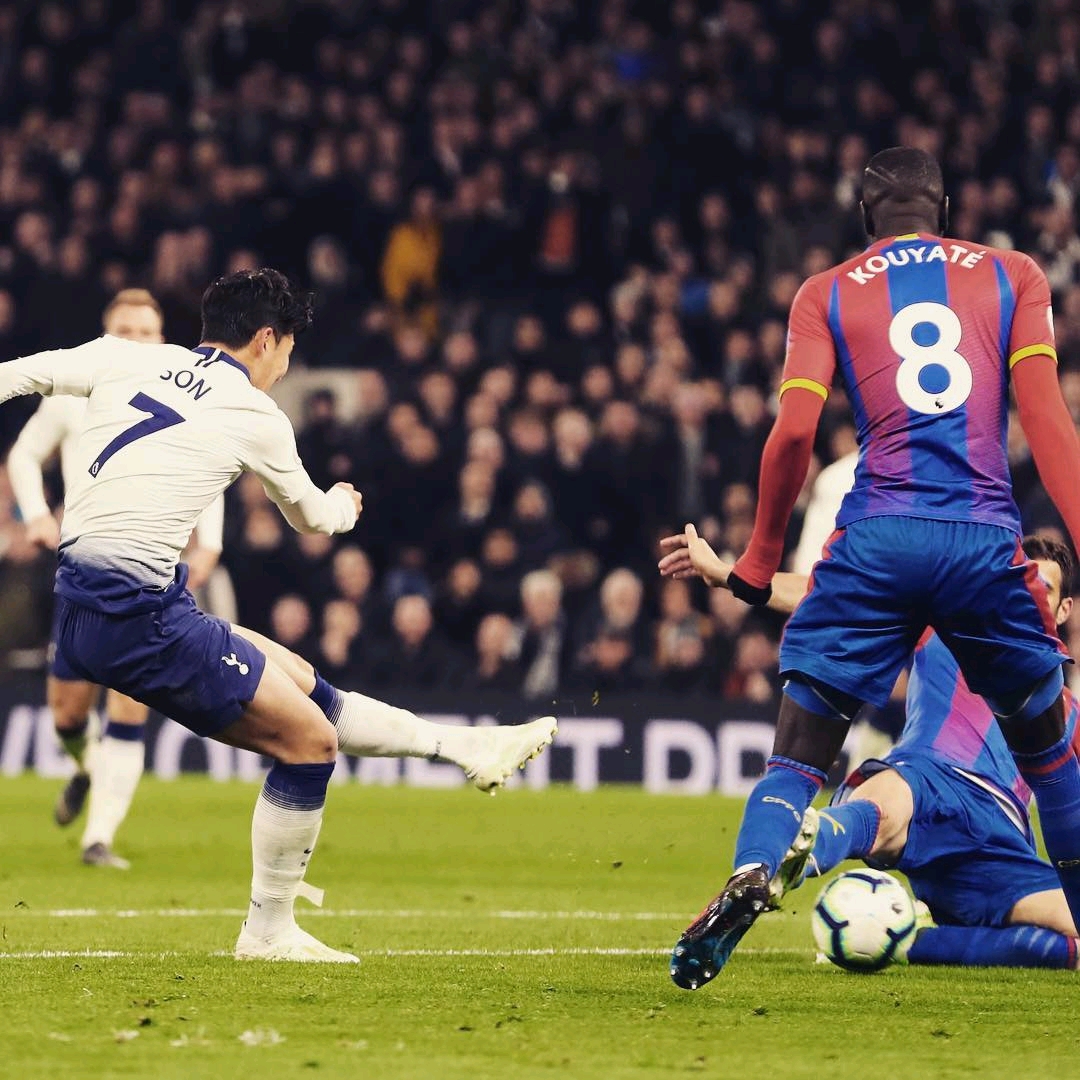 的新赛季即 的新赛季即