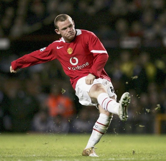 但在整体数 但在整体数